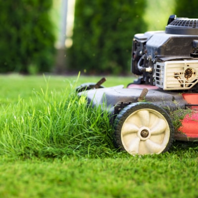 LAWN MOWING